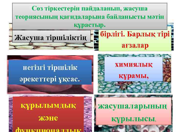 Сөз тіркестерін пайдаланып, жасуша теориясының қағидаларына байланысты мәтін құрастыр. Жасуша тіршіліктің бірлігі. Барлық тірі