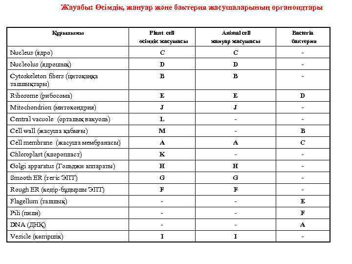 Жауабы: Өсімдік, жануар және бактерия жасушаларының органоидтары Құрылымы Plant cell өсімдік жасушасы Animal cell