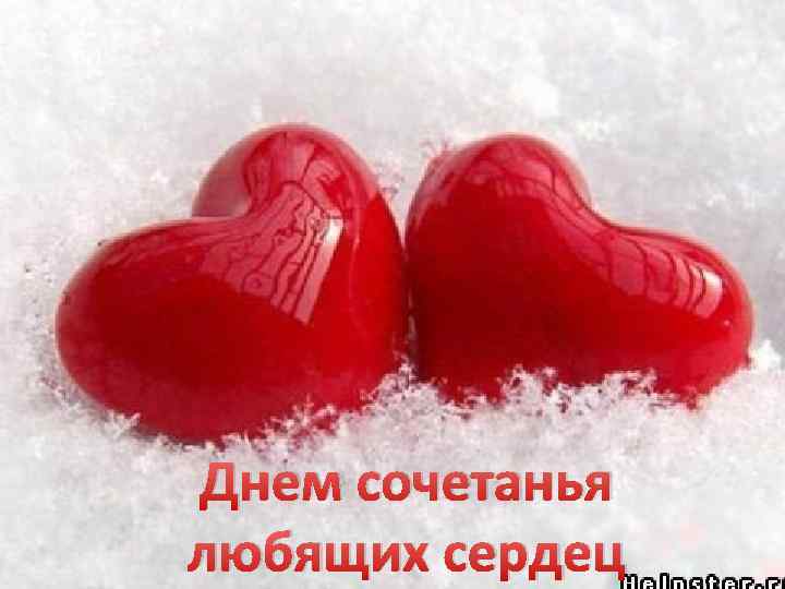 Днем сочетанья любящих сердец 