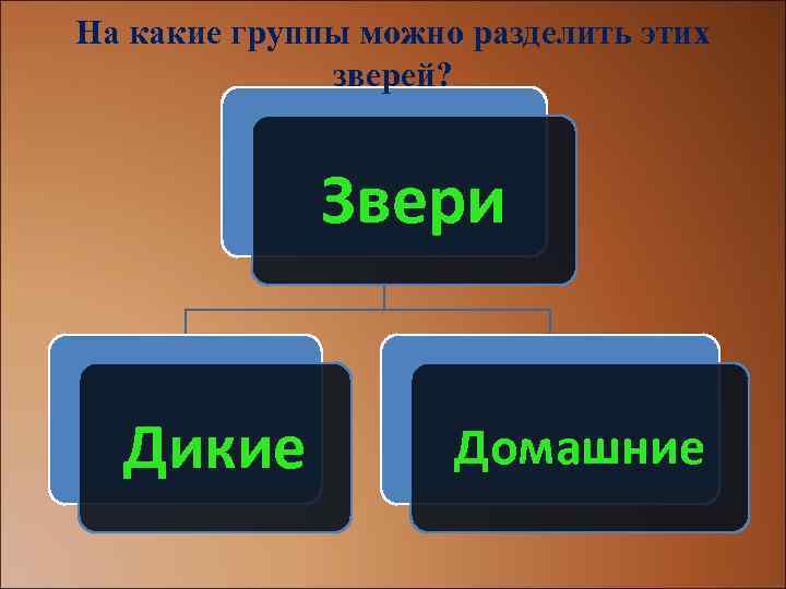 На какие группы можно разделить этих зверей? Звери Дикие Домашние 