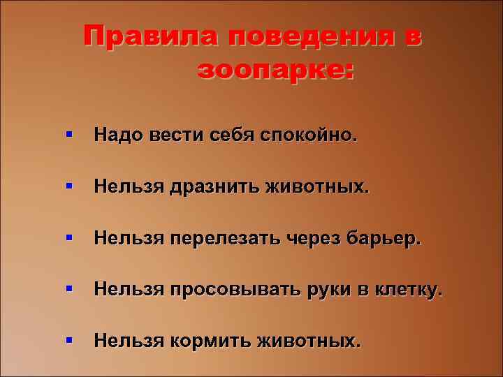 Правила поведения в зоопарке: § Надо вести себя спокойно. § Нельзя дразнить животных. §