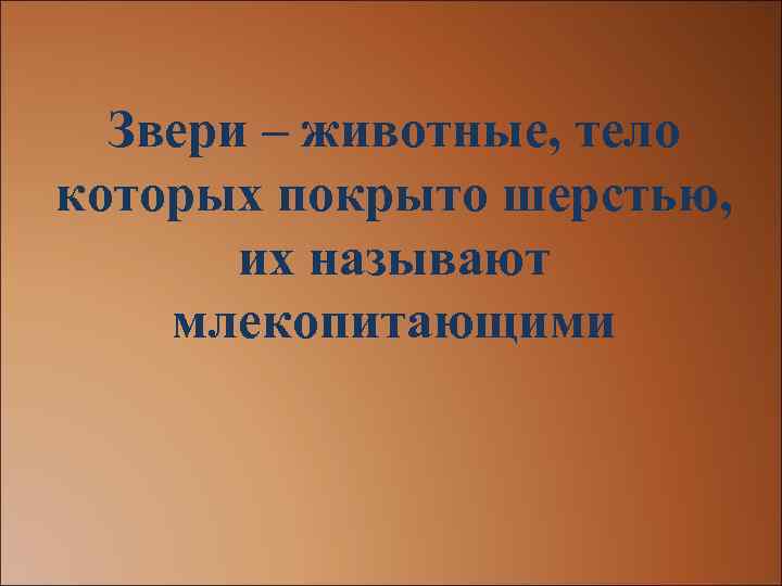 Звери – животные, тело которых покрыто шерстью, их называют млекопитающими 