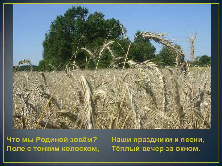 Что мы Родиной зовём? Поле с тонким колоском, Наши праздники и песни, Тёплый вечер