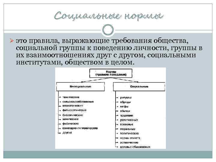 Социальные нормы Ø это правила, выражающие требования общества, социальной группы к поведению личности, группы