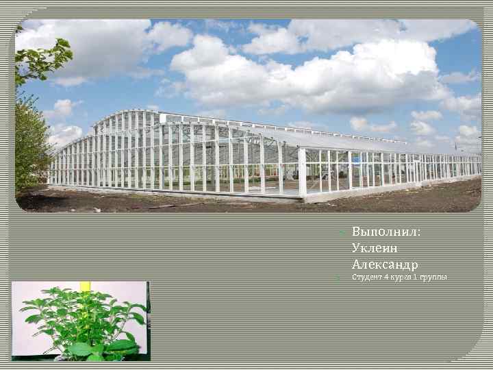  Выполнил: Уклеин Александр Студент 4 курса 1 группы 