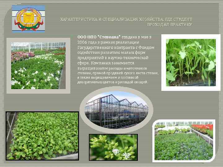  ХАРАКТЕРИСТИКА И СПЕЦИАЛИЗАЦИЯ ХОЗЯЙСТВА, ГДЕ СТУДЕНТ ПРОХОДИЛ ПРАКТИКУ ООО НПО 