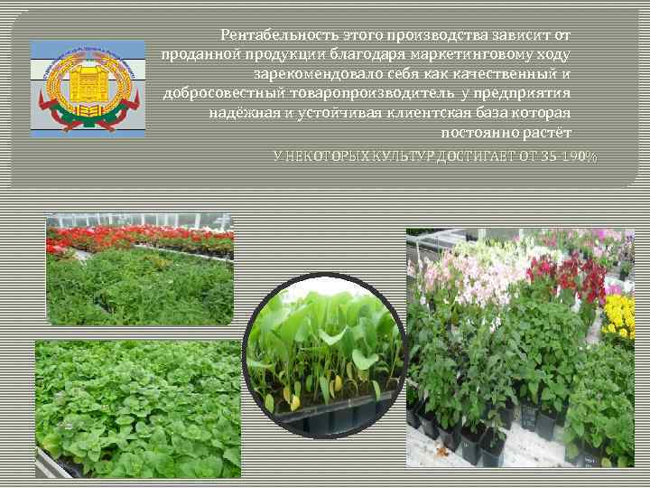 Рентабельность этого производства зависит от проданной продукции благодаря маркетинговому ходу зарекомендовало себя как качественный