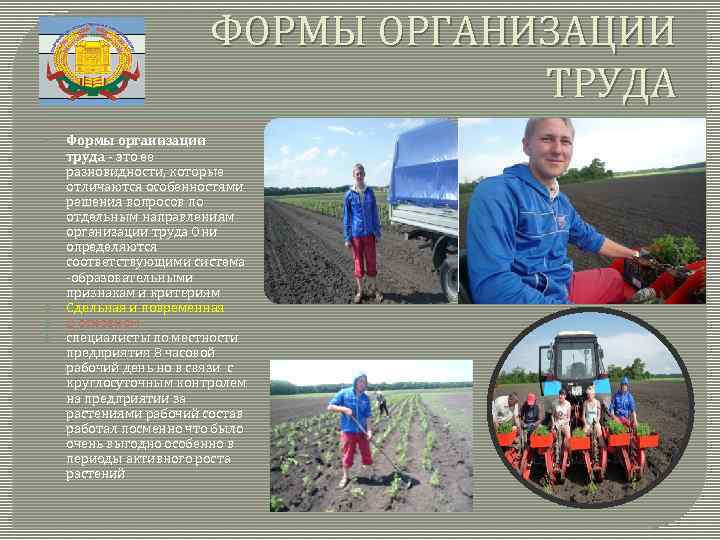 ФОРМЫ ОРГАНИЗАЦИИ ТРУДА Формы организации труда - это ее разновидности, которые отличаются особенностями решения