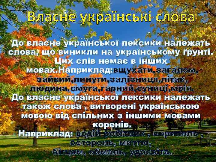 Власне українські слова До власне української лексики належать слова, що виникли на українському ґрунті.