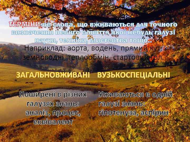 Наприклад: аорта, водень, прямий кут, земноводні, теплообмін, стартовий гол. Поширені в різних галузях знань: