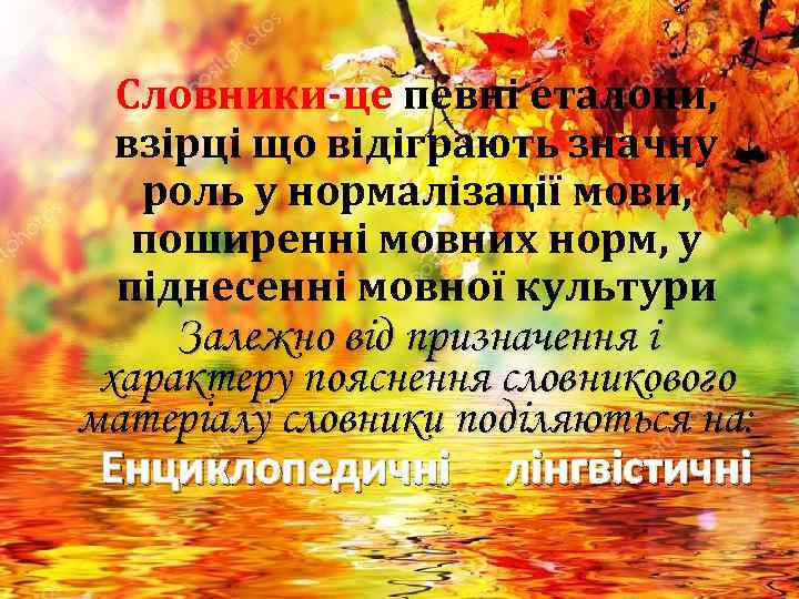 Словники-це певні еталони, взірці що відіграють значну роль у нормалізації мови, поширенні мовних норм,