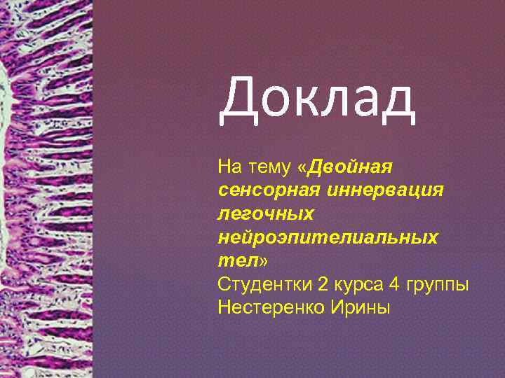 Доклад На тему «Двойная сенсорная иннервация легочных нейроэпителиальных тел» Студентки 2 курса 4 группы