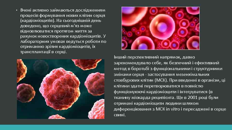  • Вчені активно займаються дослідженням процесів формування нових клітин серця (кардіоміоцитів). На сьогоднішній