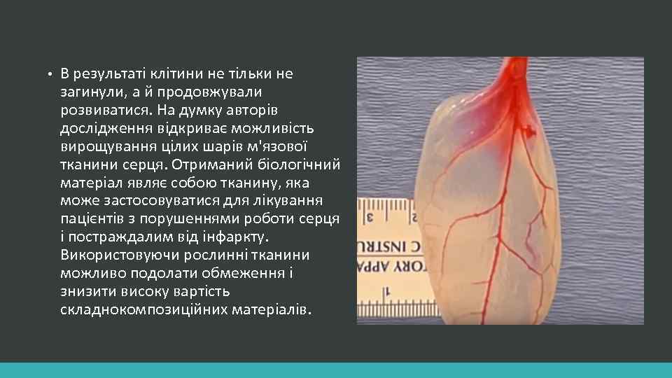  • В результаті клітини не тільки не загинули, а й продовжували розвиватися. На