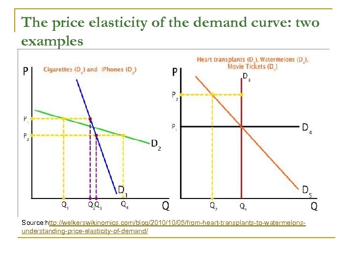 The price elasticity of the demand curve: two examples Source: http: //welkerswikinomics. com/blog/2010/10/05/from-heart-transplants-to-watermelonsunderstanding-price-elasticity-of-demand/ 