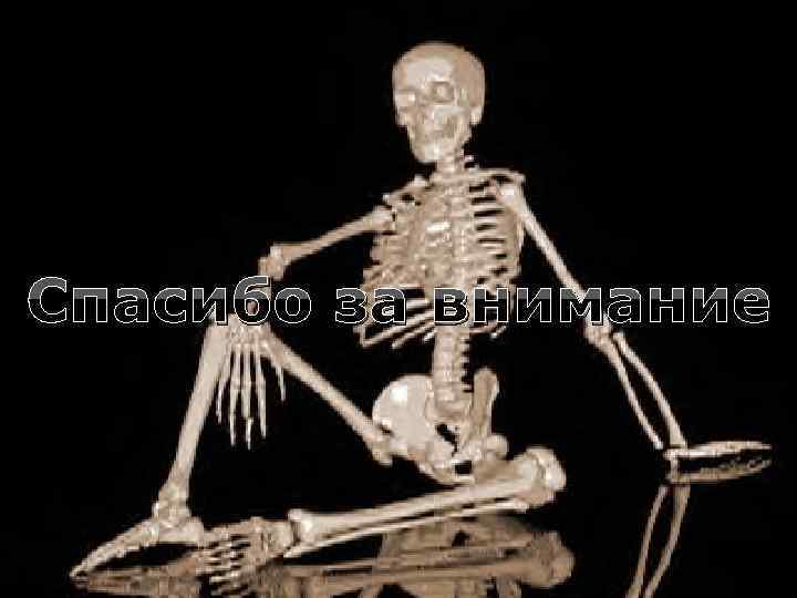 Спасибо за внимание 