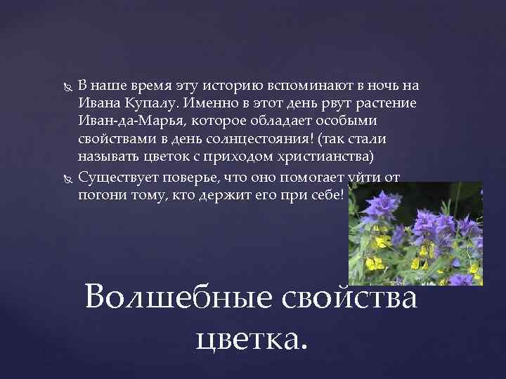  В наше время эту историю вспоминают в ночь на Ивана Купалу. Именно в