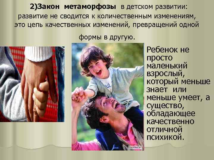 2)Закон метаморфозы в детском развитии: развитие не сводится к количественным изменениям, это цепь качественных