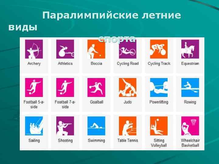 виды Паралимпийские летние спорта 