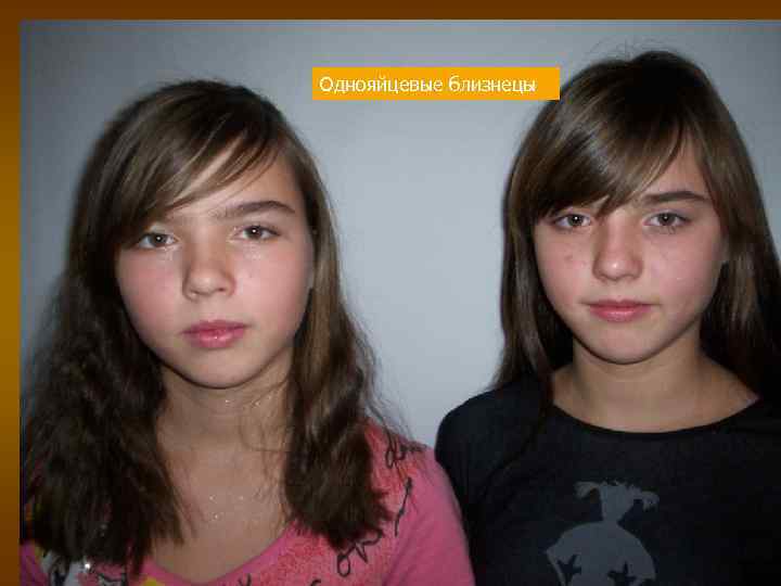 Разнообразие фенотипов. Однояйцевые близнецы 