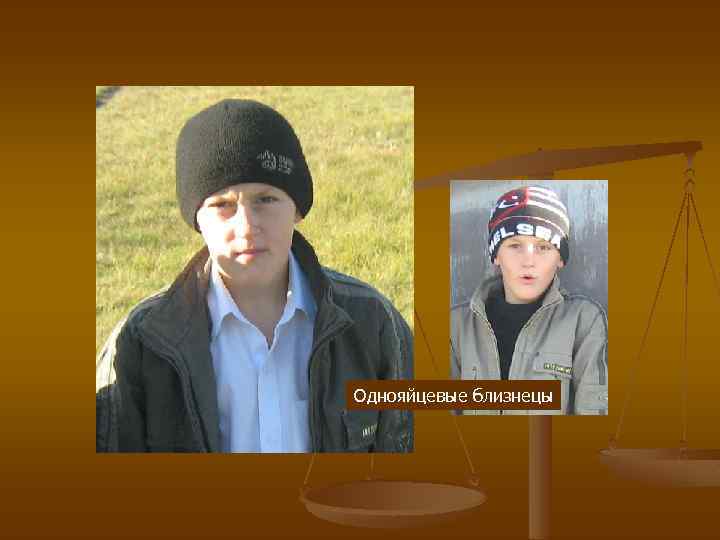 Однояйцевые близнецы 