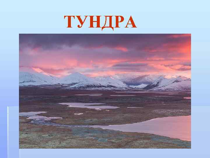 ТУНДРА 