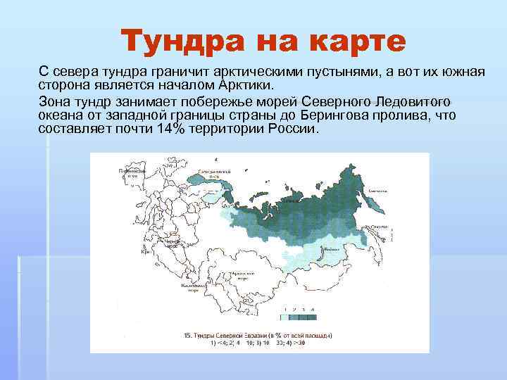 Тундра на карте С севера тундра граничит арктическими пустынями, а вот их южная сторона