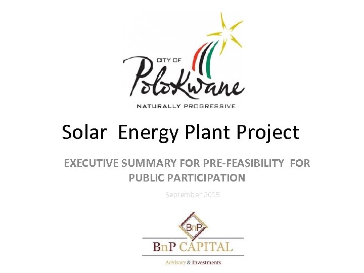 Solar Energy Plant Project EXECUTIVE SUMMARY FOR PRE-FEASIBILITY FOR PUBLIC PARTICIPATION September 2015 30