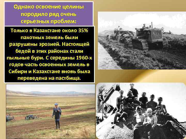 Начало освоения целины год. 1964 Целина в Казахстане. Хрущев сельское хозяйство Целина. Массовое освоение целинных земель. Причины освоения целинных земель.