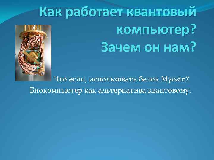 Как работает квантовый компьютер? Зачем он нам? Что если, использовать белок Myosin? Биокомпьютер как