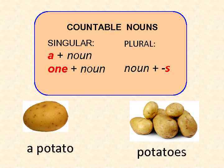 COUNTABLE NOUNS SINGULAR: a + noun one + noun a potato PLURAL: noun +