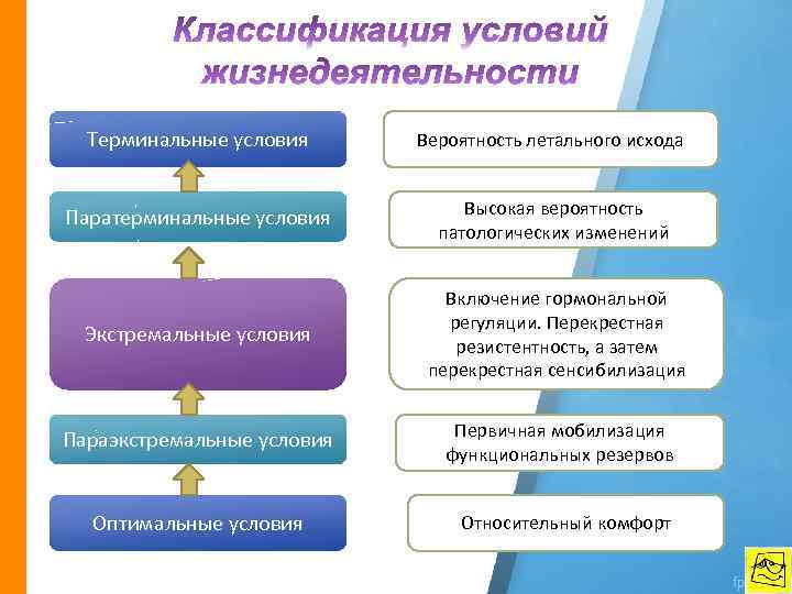 Терминальные условия Вероятность летального исхода Паратерминальные условия Высокая вероятность патологических изменений Экстремальные условия Включение