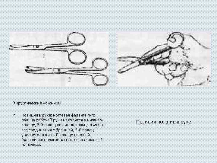 Хирургические ножницы • Позиция в руке: ногтевая фаланга 4 -го пальца рабочей руки находится