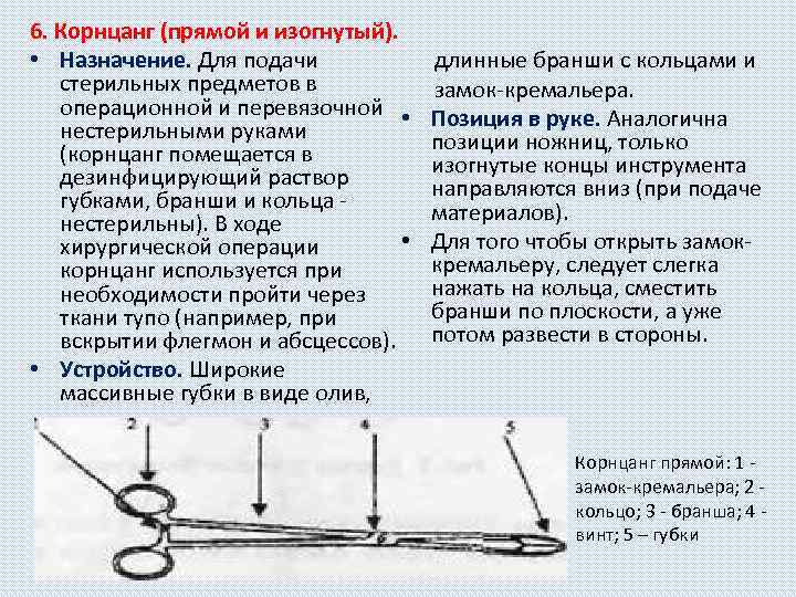 6. Корнцанг (прямой и изогнутый). длинные бранши с кольцами и • Назначение. Для подачи