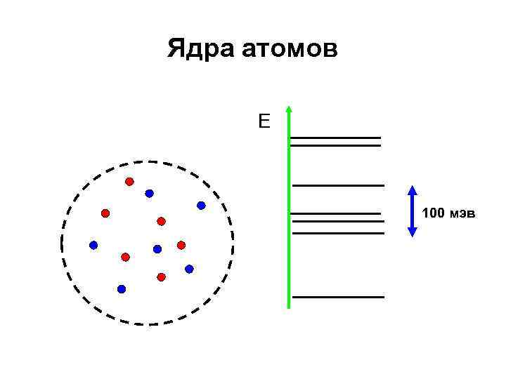 Ядра атомов E 100 мэв 