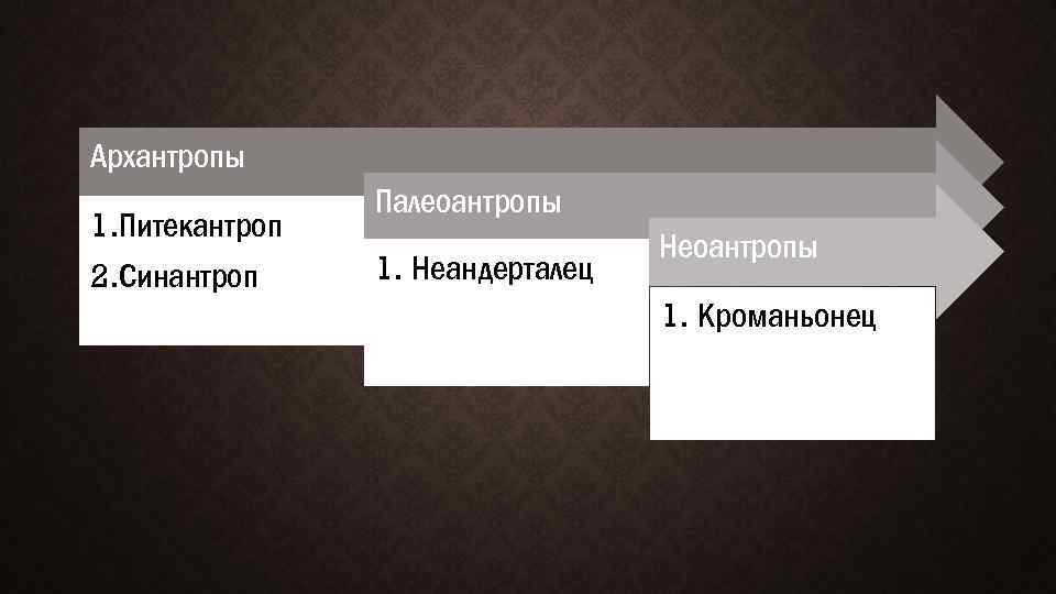 Архантропы 1. Питекантроп 2. Синантроп Палеоантропы 1. Неандерталец Неоантропы 1. Кроманьонец 