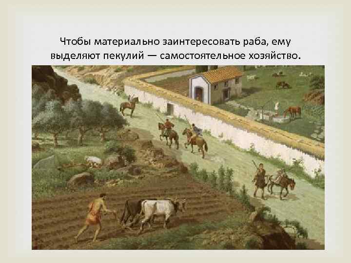 Чтобы материально заинтересовать раба, ему выделяют пекулий — самостоятельное хозяйство. 