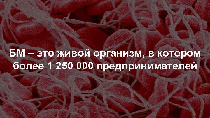 БМ – это живой организм, в котором более 1 250 000 предпринимателей 