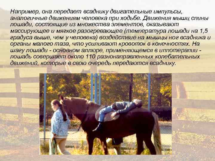 Например, она передает всаднику двигательные импульсы, аналогичные движениям человека при ходьбе. Движения мышц спины