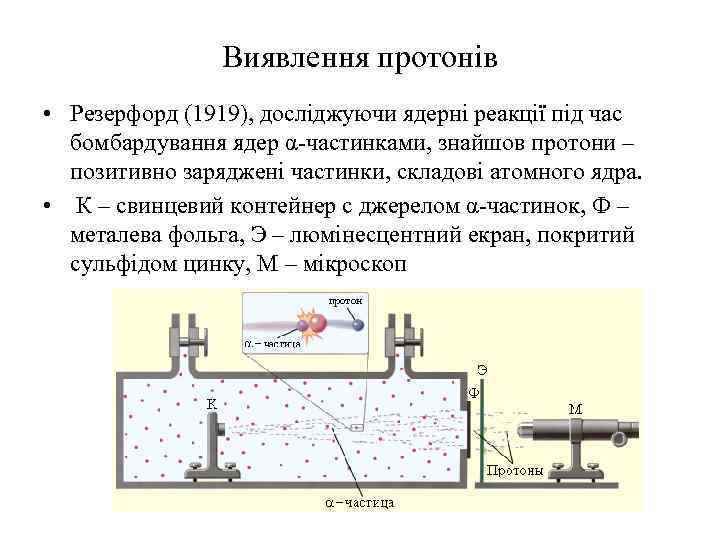 Виявлення протонів • Резерфорд (1919), досліджуючи ядерні реакції під час бомбардування ядер α-частинками, знайшов