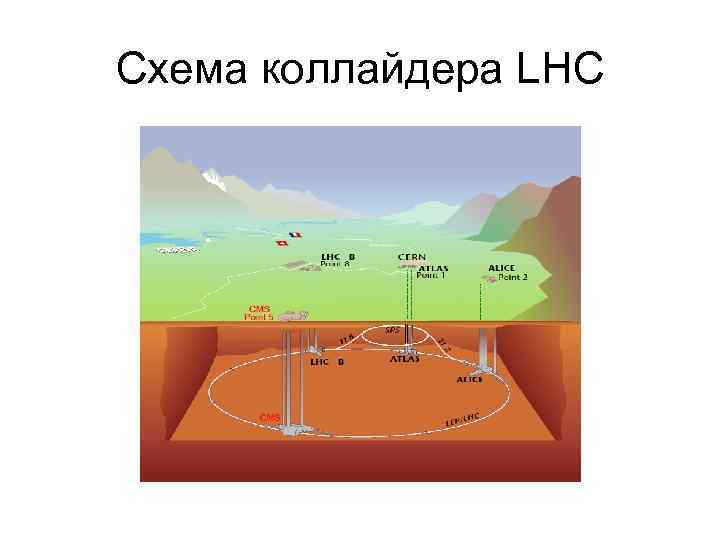 Схема коллайдера LHC 