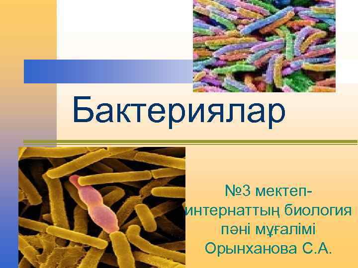 Бактериялар № 3 мектепинтернаттың биология пәні мұғалімі Орынханова С. А. 