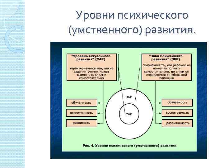 Уровни психического (умственного) развития. 