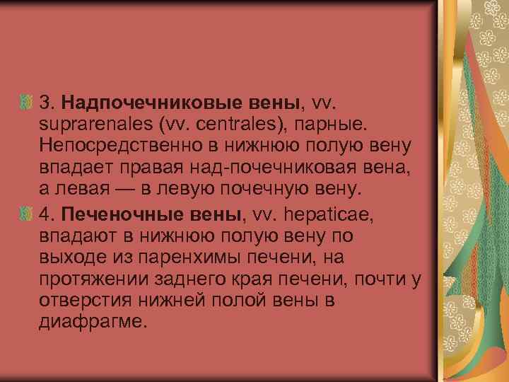 3. Надпочечниковые вены, vv. suprarenales (vv. centrales), парные. Непосредственно в нижнюю полую вену впадает