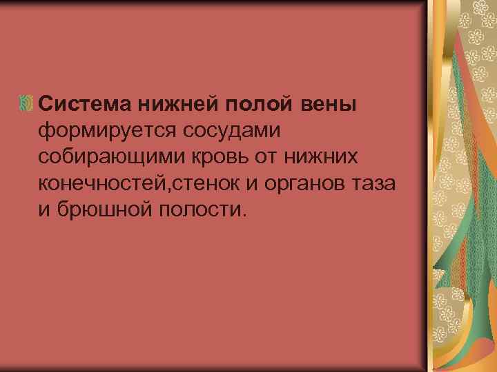 Система нижней полой вены формируется сосудами собирающими кровь от нижних конечностей, стенок и органов
