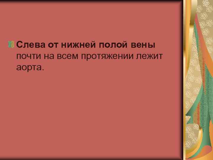 Слева от нижней полой вены почти на всем протяжении лежит аорта. 