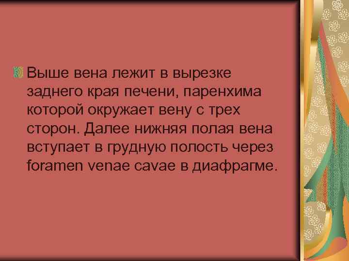 Выше вена лежит в вырезке заднего края печени, паренхима которой окружает вену с трех