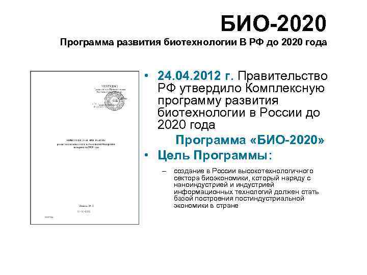 Программа 2020