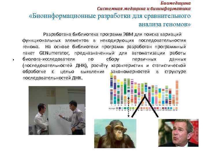 Биомедицина Системная медицина и биоинформатика «Биоинформационные разработки для сравнительного анализа геномов» . Разработана библиотека