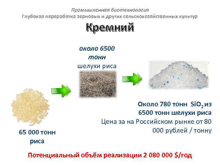 Промышленная биотехнология Глубокая переработка зерновых и других сельскохозяйственных культур Кремний около 6500 тонн шелухи